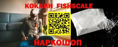 стаф Камышлов