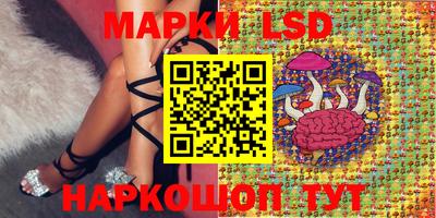 скорость Кандалакша