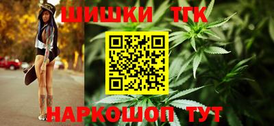 стаф Камышлов