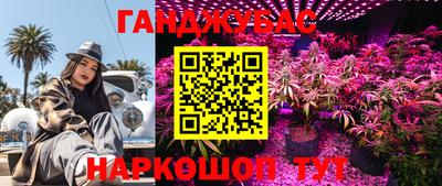 стаф Камышлов